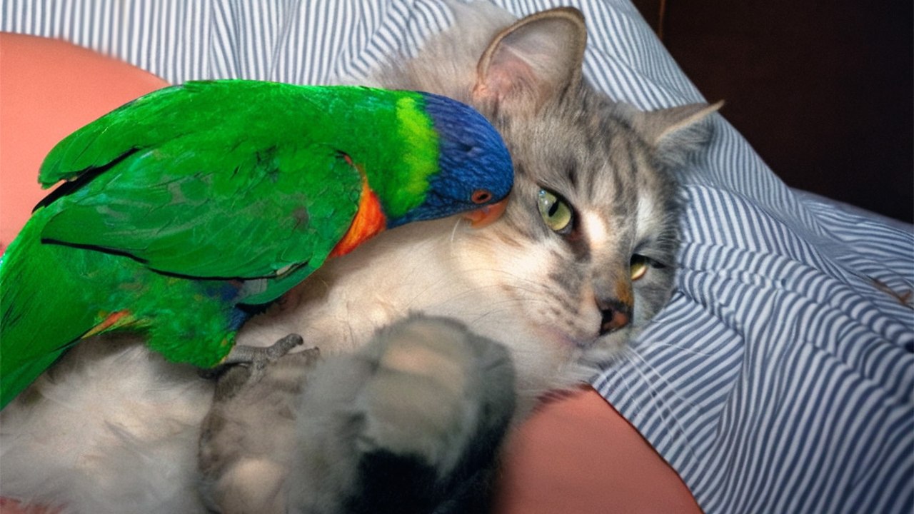 .   ,      ,  ...  , ...