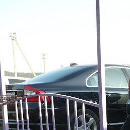 �����, ������������