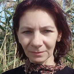 ����, �����������, 48 ���