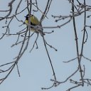  , , 58  -  21  2025    2010