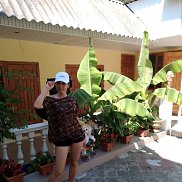 �����, 37 ���, �����������