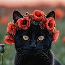 ���� �������, ������ - ��������� 21 ���� 2026 � ������ ������ ��������