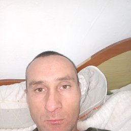 ���� ������, �������, 43 ���� - ��������� 12 ������� 2024