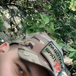 , 29, 