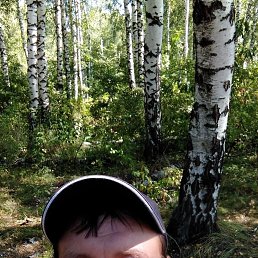 �����, 38 ���, ������