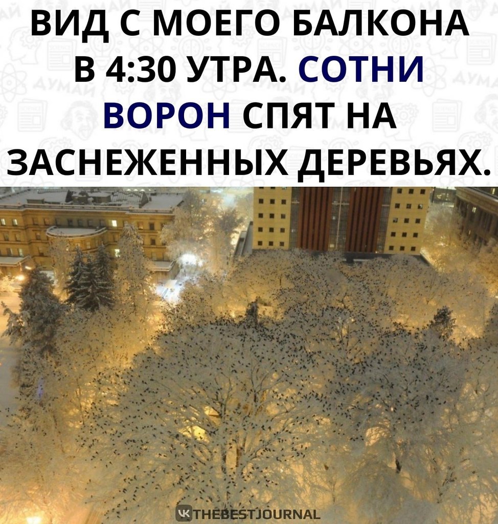        . !