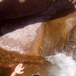 ���� ������, �������, 43 ���� - ��������� 5 ��� 2026