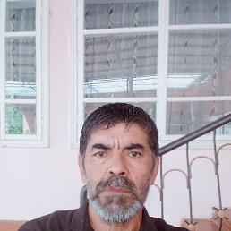 , 54 , 