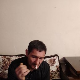 ���, ������, 44 ����