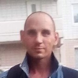 ����, ��������, 41 ���