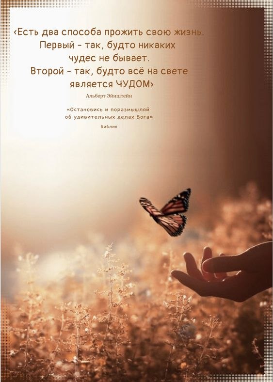 ₪╬═►  ||  ||  ◄═╬₪ - 24  2024  06:08