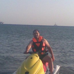 Kotik, �������, 46 ���