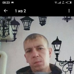 ����, 38 ���, ���������