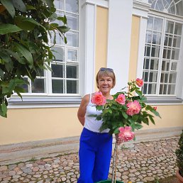 ���� �������, �����-���������, 58 ��� - ��������� 26 ���� 2026