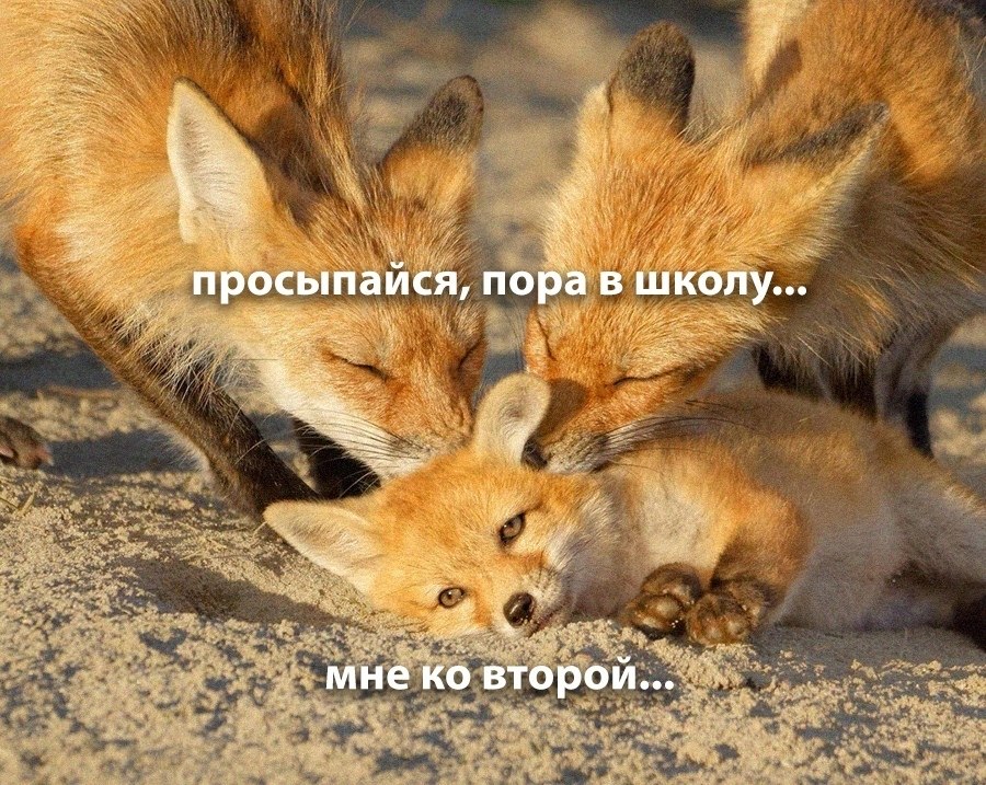 ��� �������� �������� - 27 ������ 2025 � 12:42