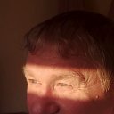 ���� ���������, �����, 50 ��� - ��������� 2 ������ 2026 � ������ ���� ����������