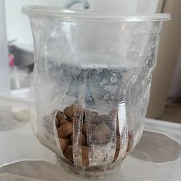 ���������, ������, 18 ���