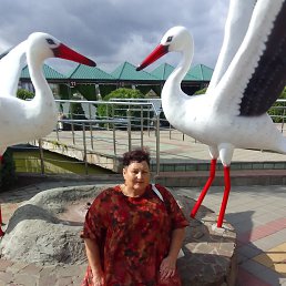 ���� ���������, ���������, 66 ��� - ��������� 18 ������� 2025