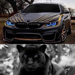 �����, ������, 26 ���
