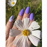 �����, 44 ����, ������