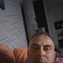 , 41,  