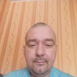 ����� �������, 43 ����, �������