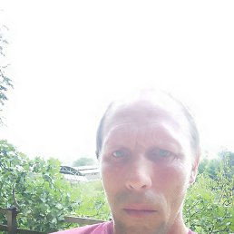 ������, �����, 40 ���