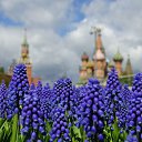 ���� Georgiy (�), �������� - ��������� 24 �������� 2025 � ������ ���� ����������