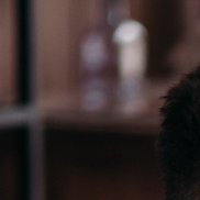 ����, 24 ����, �������