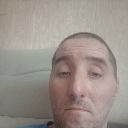 �����, 40 ���, ������������