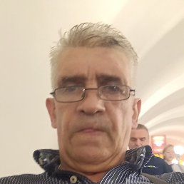 , 51 , -