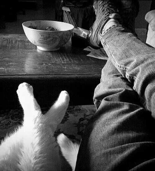   ,    .     ,     ...