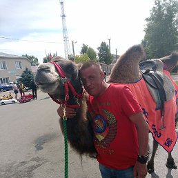 ���������, ������, 57 ���