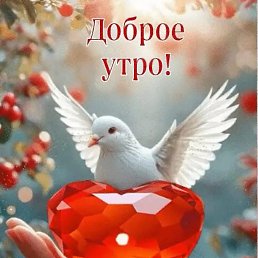 ���� Sorry, ����������� - ��������� 24 ���� 2025