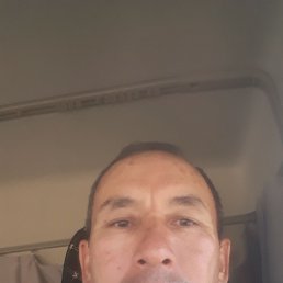 , 55, 