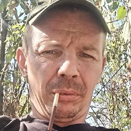 ������ �������, ����, 40 ���