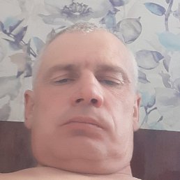 �������, �����, 46 ���