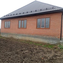 ���, ������, 41 ���