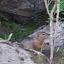 ���� �����., ��������, 67 ��� - ��������� 15 ���� 2024 � ������ ���� ����������