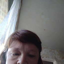 , 41 , 