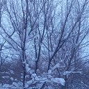 ���� ������, ���������, 57 ��� - ��������� 15 ������� 2024 � ������ ���� ����������