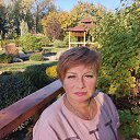 ���� �����, �������� - ��������� 12 ������� 2024 � ������ ������ ��������