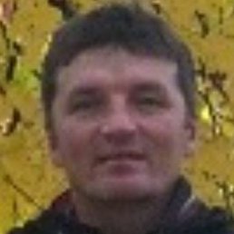 �������, ������, 55 ���