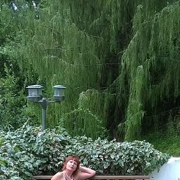 �����, ������ ��������, 51 ���