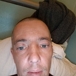 ����, 42 ����, ������