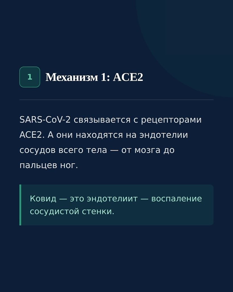��� ������, ���� ����� �������� ���� ����� �� ������ ������?? ��� ���� ���������� � ��������: ������ ... - 4