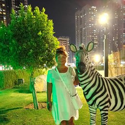 ���� �������, ���������� �����, 58 ��� - ��������� 20 ����� 2026