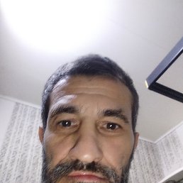 ����, 41 ���, ������������