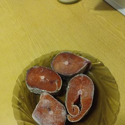 ����, ������, 33 ����