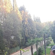 ����, 51 ���, ������